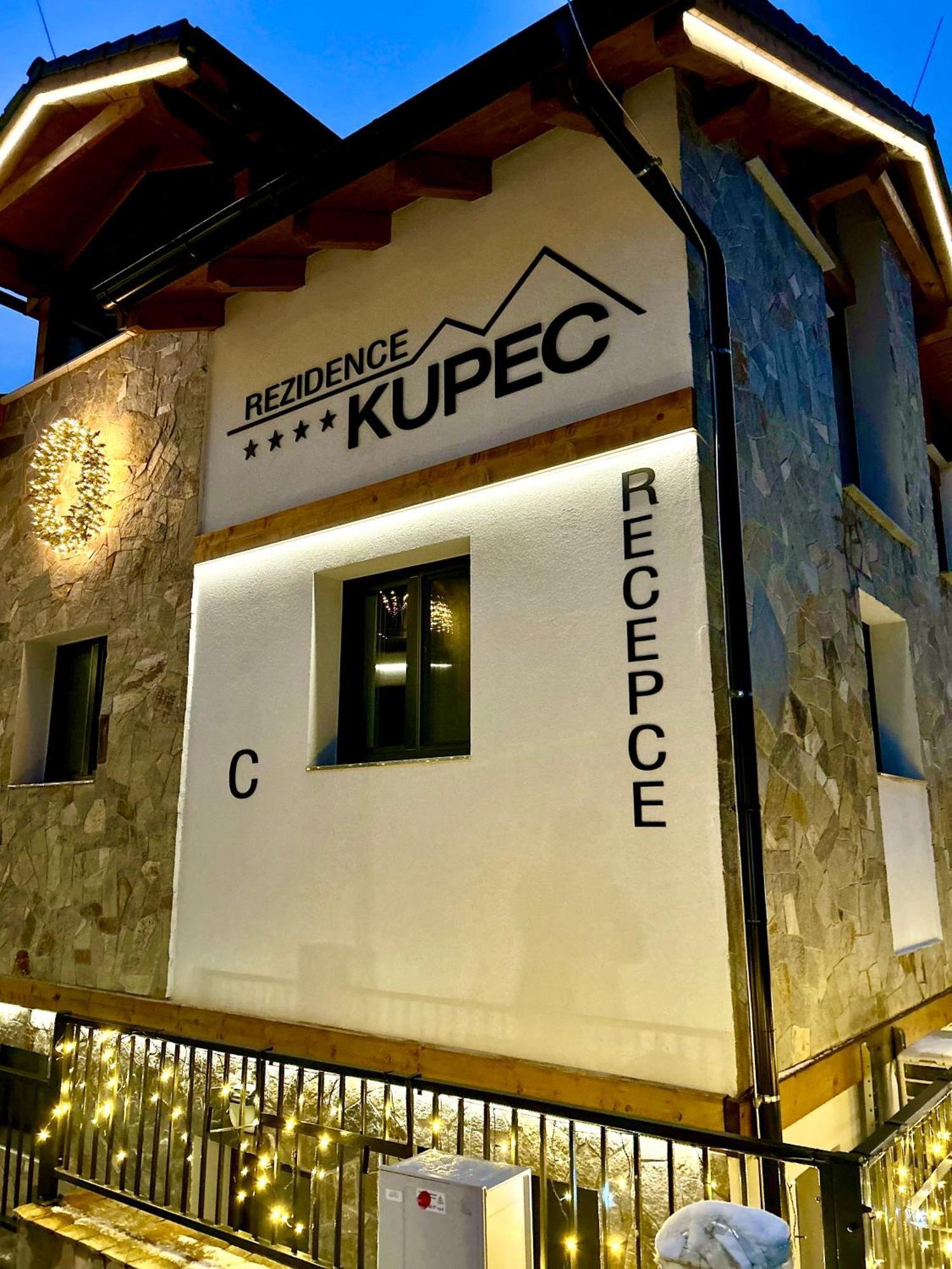 Rezidence Kupec Daire Frymburk Dış mekan fotoğraf